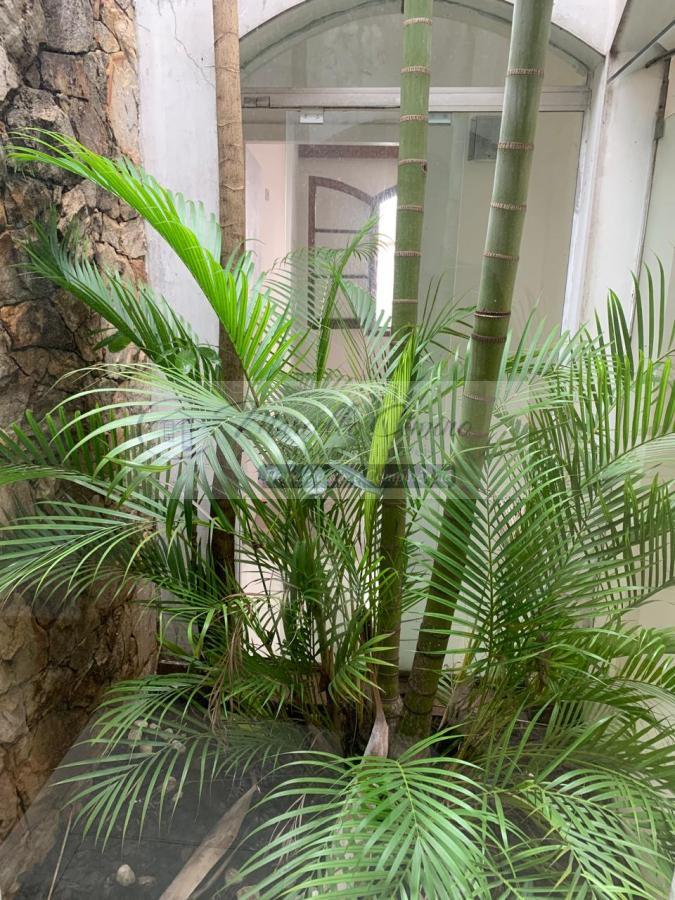 Casa, 3 quartos, 280 m² - Foto 3